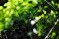 A spider web isÃÂ a sticky net that spiders make from silk to trap their prey.ÃÂ 